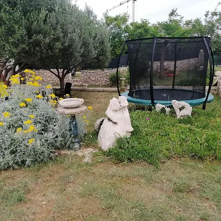 House The Safe Space Garden